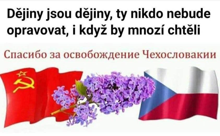 šeřík