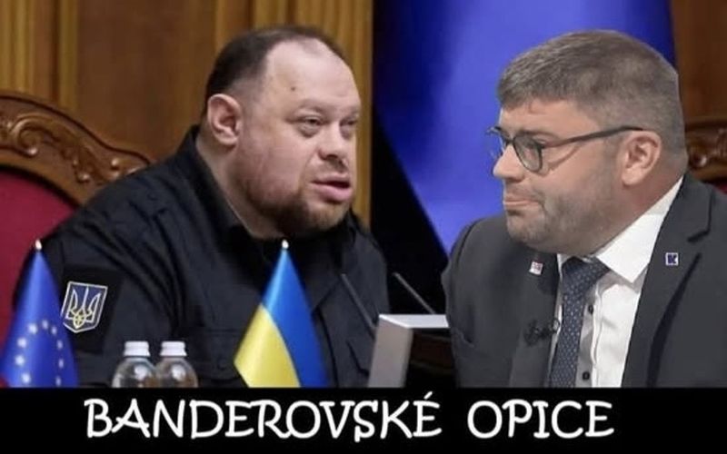 Banderovské opice