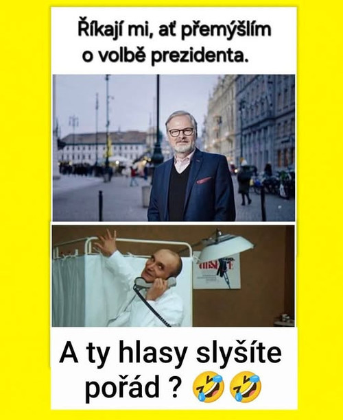 Fiala na prezidenta