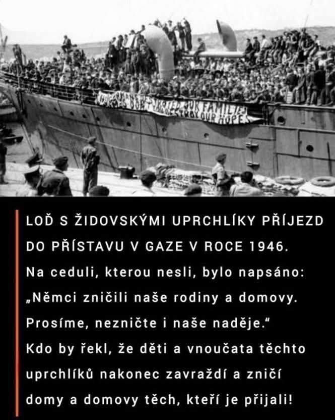 imigranti