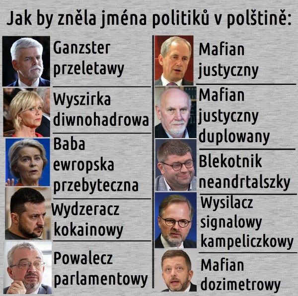 Jména politiků v polštině