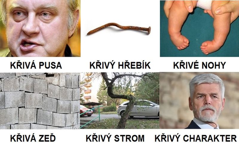 krivy rozvedcik