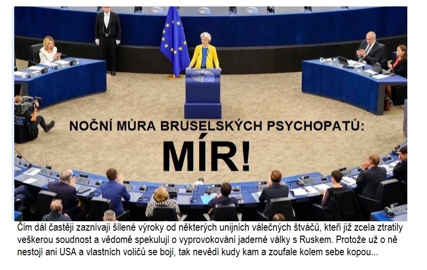 nocni mura bruselskych psychopatu