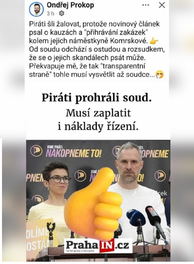 Pirati prohrali soud