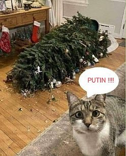 V pozadí povalený stromeček, v popředí kočka říká: "Putin!"