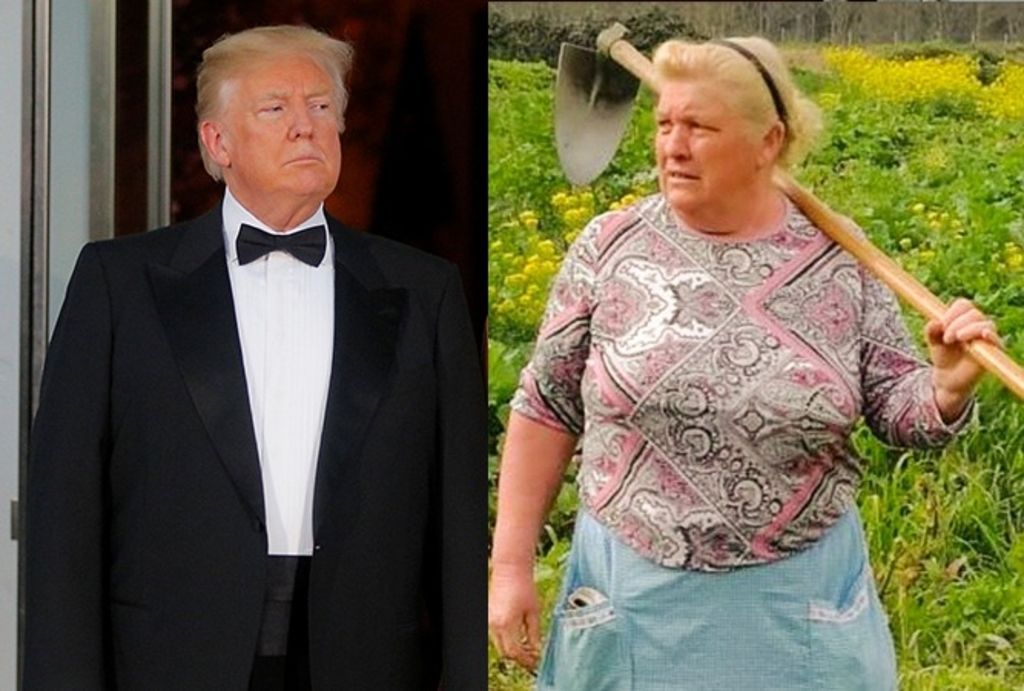 Trump vs Dolores Leis Antelo