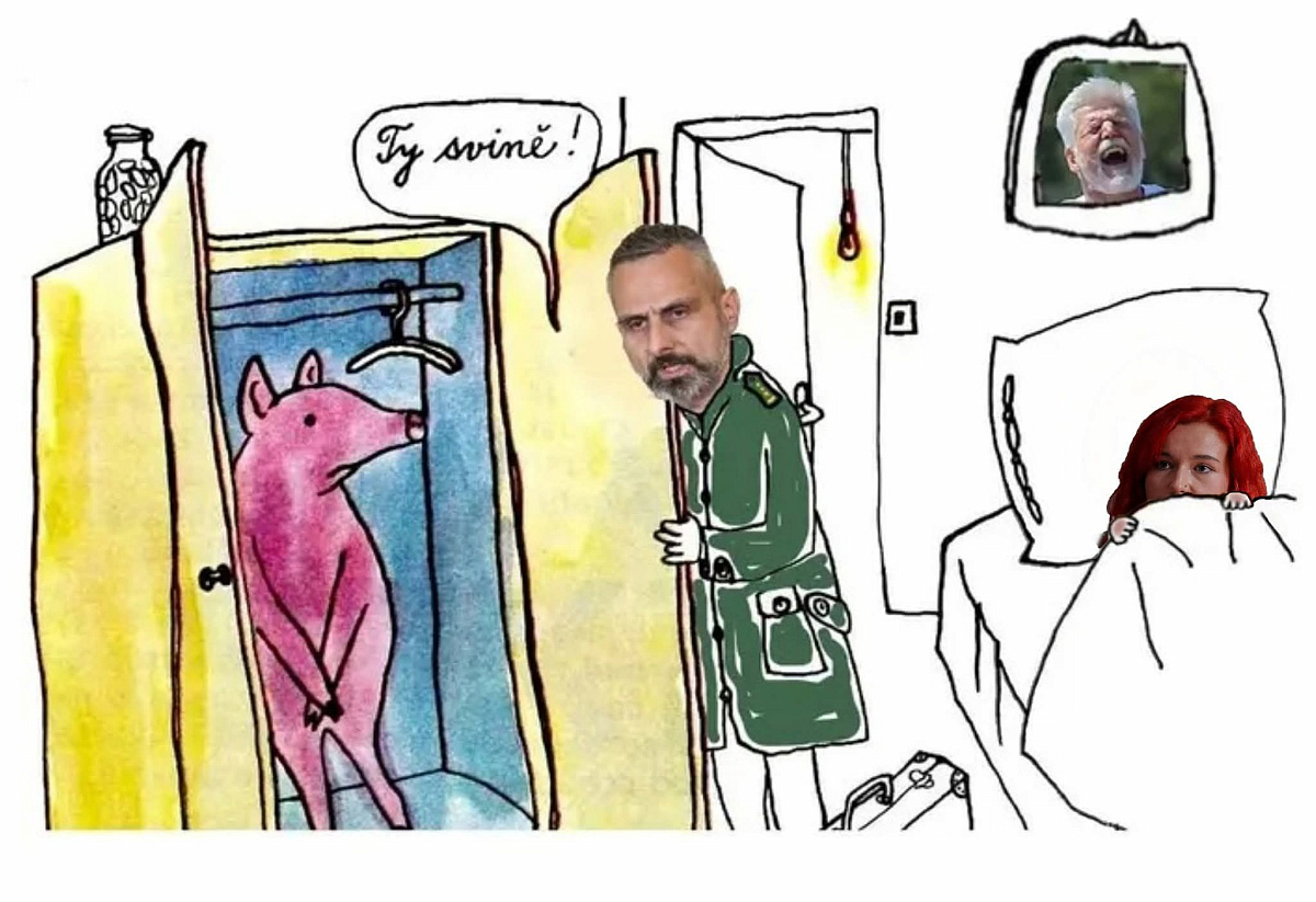 ty svině