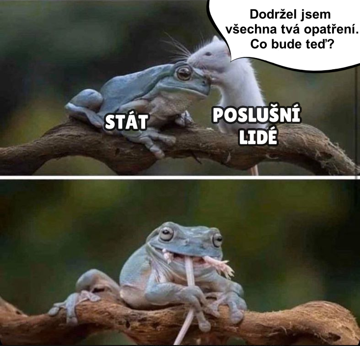 žába a myš